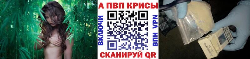 A PVP СК дарк нет телеграм Тольятти