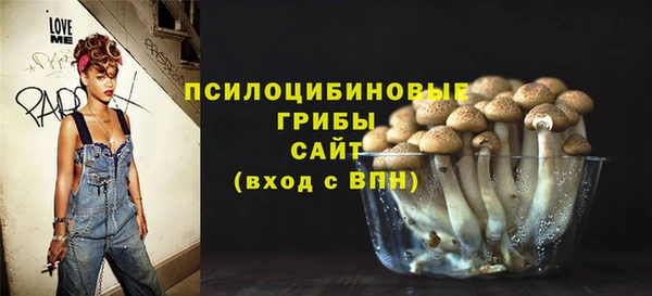 индика Абаза