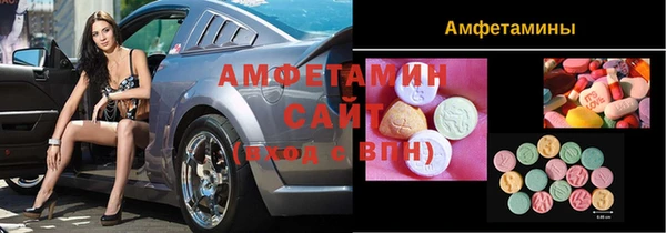 индика Алзамай