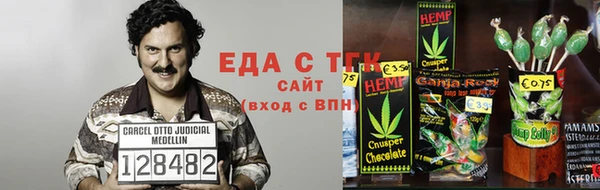 индика Абаза