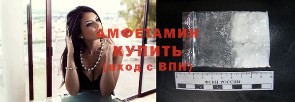 индика Абаза