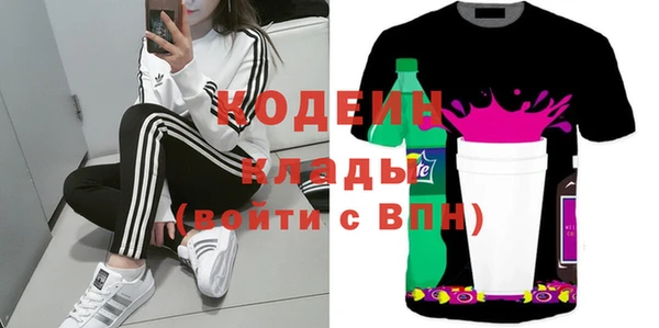 индика Абаза
