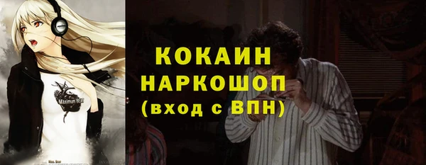 индика Алзамай