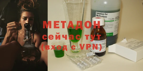индика Абаза