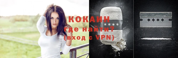 кокс Алексин