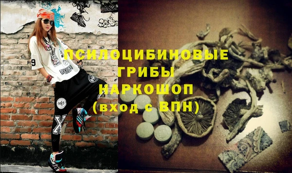 индика Абаза