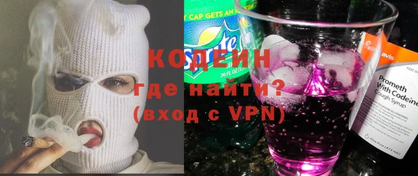 индика Абаза