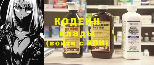 индика Абаза