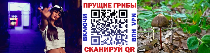 сайты даркнета состав  закладка  Тольятти  Псилоцибиновые грибы Magic Shrooms 