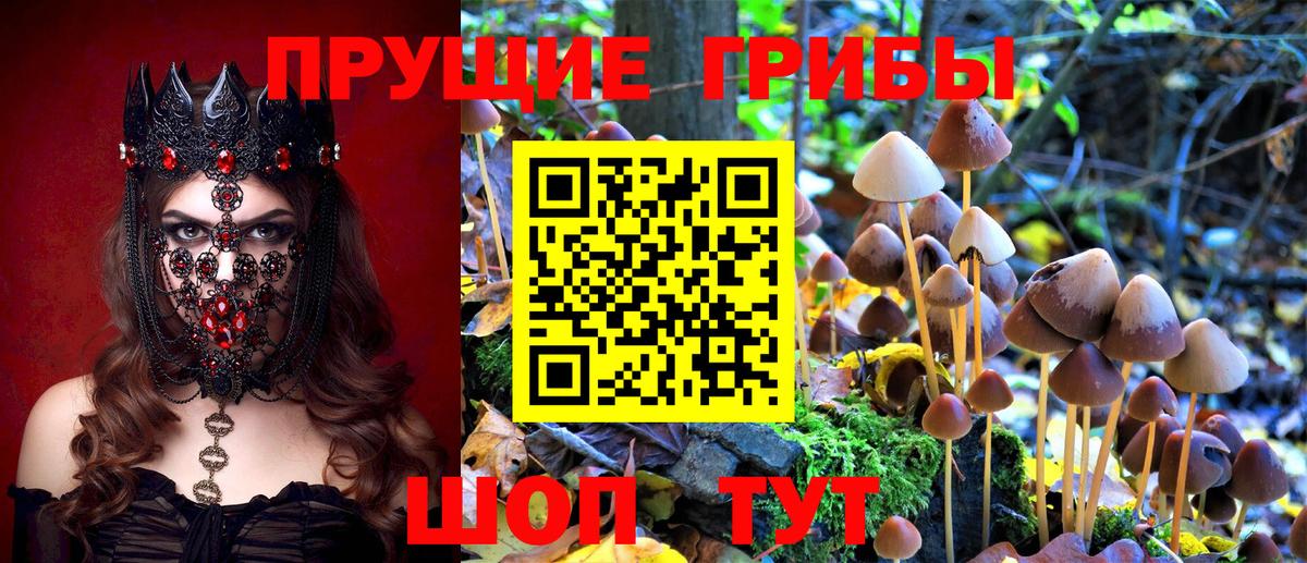 Тольятти  Псилоцибиновые грибы мухоморы  Вход с VPN 